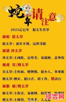 本命年如何化解鼠年鼠年属鸡是否冲太岁-第1张图片