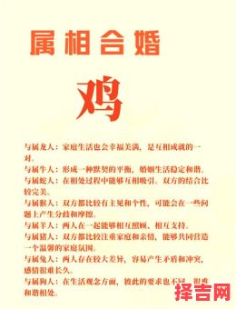 1993年属鸡男最佳配偶 属鸡男最佳婚配对象-第1张图片