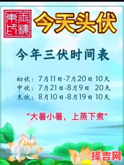 2020年入伏从哪一天开始-第1张图片