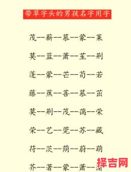 草字头的姓氏有哪些-第1张图片