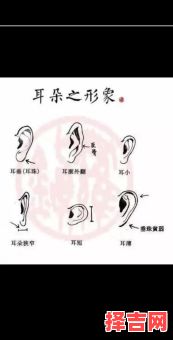 面相耳朵长毛和耳内有毛预示女性什么-第1张图片
