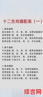 属狗2025年购车最佳吉日有哪些 属狗的2025年买车好日子-第1张图片