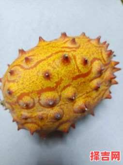 奇珍异果指哪个生肖-第1张图片