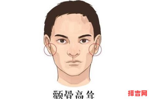 男性颧骨高面相特征 男性颧骨高的脸型图解-第1张图片
