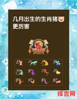 属猪14岁是何命14岁是哪年属猪-第1张图片