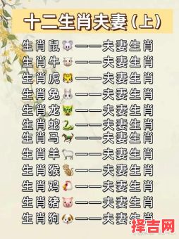 属鼠和属鼠的合财吗属虎和属猴的合财吗-第1张图片