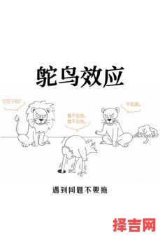 不羁难驭动物谜底-第1张图片