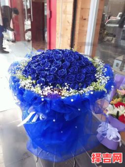 22朵玫瑰花寓意 22朵蓝色妖姬花语-第1张图片