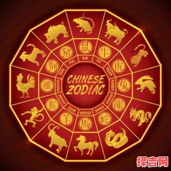 群魔乱舞指一生肖 群魔乱舞定一准确生肖-第1张图片