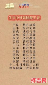 暗藏杀机指什么生肖-第1张图片