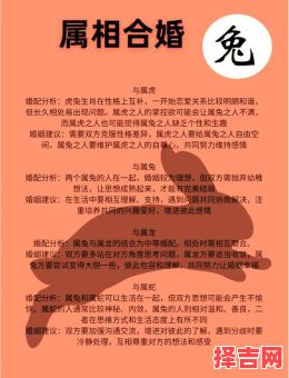 87年男兔的欠佳婚配 87年属兔男配88年属龙女合适吗-第1张图片 87年男兔的欠佳婚配 87年属兔男配88年属龙女合适吗-第1张图片