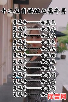 97年属牛男配对哪些属相 97年属牛男士的婚配对象-第1张图片