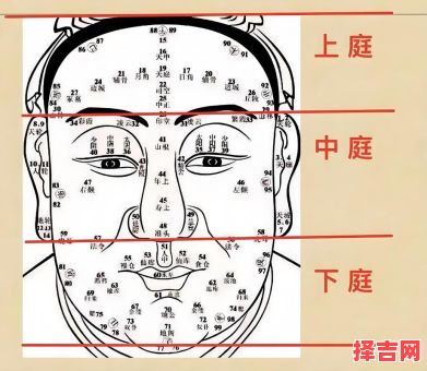 额头高好不好 十二种额头图解-第1张图片 额头高好不好 十二种额头图解-第1张图片