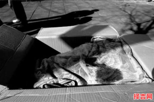 梦见一路都遇到尸块 梦见尸块代表什么-第1张图片 梦见一路都遇到尸块 梦见尸块代表什么-第1张图片