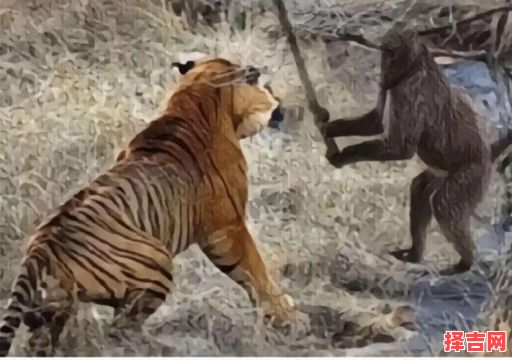 敲山震虎打一动物-第1张图片 敲山震虎打一动物-第1张图片