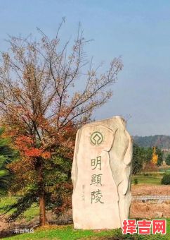 福地灵穴旺子嗣打一生肖-第1张图片