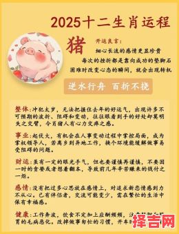 2025年属猪运势解析 2025年属猪1971年运程详解-第1张图片