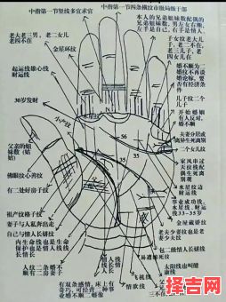 手相手纹预测图解-第1张图片 手相手纹预测图解-第1张图片