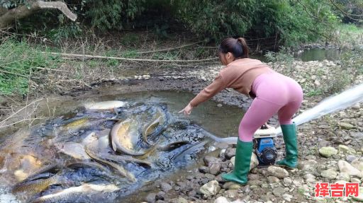 女子梦见捞着许多鱼,女子梦见水中捉鱼-第1张图片 女子梦见捞着许多鱼,女子梦见水中捉鱼-第1张图片