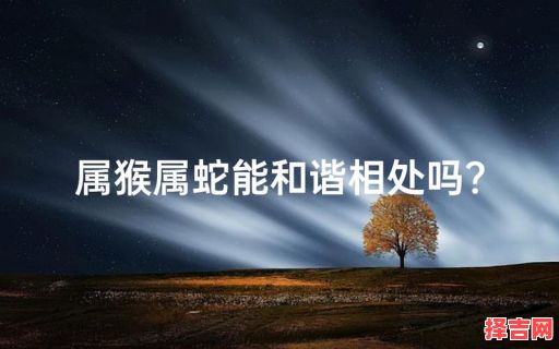 属猴男与属蛇女相配吗 属蛇女和属猴男相配吗-第1张图片 属猴男与属蛇女相配吗 属蛇女和属猴男相配吗-第1张图片