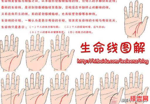 女性人字纹手相寓意解析 富贵三角纹手相含义-第1张图片