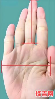 面相龙虎之相的含义是什么手相虎吞龙的含义是什么-第1张图片