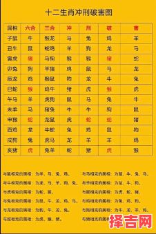 十二生肖中谁将一飞冲天最准-第1张图片