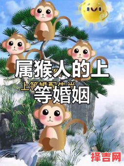 猴类配偶选择,属猴者适宜婚配对象-第1张图片 猴类配偶选择,属猴者适宜婚配对象-第1张图片