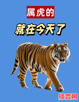 花拳绣腿最佳比喻哪种动物 花拳绣腿描述哪种动物-第1张图片