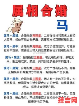 属马与什么属相最配相克 属马的婚配最忌讳三个属相-第1张图片