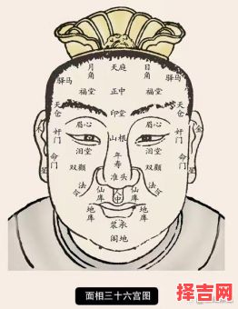 三十二岁面相运程三十六岁面相处所-第1张图片 三十二岁面相运程三十六岁面相处所-第1张图片