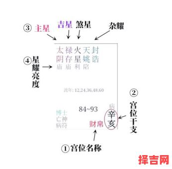 二零二五年八月二十出生男命紫微斗数命格详解与八字命盘分析-第1张图片 二零二五年八月二十出生男命紫微斗数命格详解与八字命盘分析-第1张图片