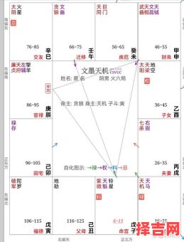 2025年10月12日出生女命紫微斗数命盘 二零二五年八月 小廿一紫薇命盘八字测算-第1张图片