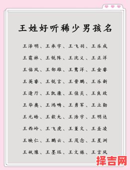 姓王取名字大全周易取名生辰八字起名免费-第1张图片