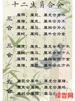 属鸡和属马的婚姻配对合不合 属牛和什么属相最配最好-第1张图片