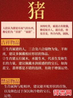 七一年属猪办公室柜子放什么,属猪和属鼠的人合不合-第1张图片