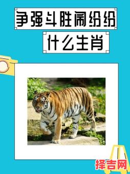 方寸不乱打一生肖-第1张图片 方寸不乱打一生肖-第1张图片