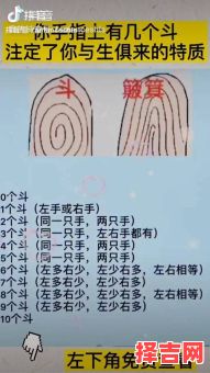 手指指纹斗与簸箕图解-第1张图片 手指指纹斗与簸箕图解-第1张图片