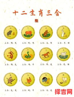 十全十美有几人猜一生肖 十二生肖谁最十全十美-第1张图片