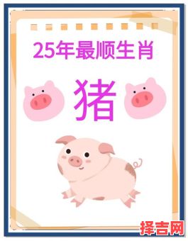 1995年属猪人2025年运势预测-第1张图片
