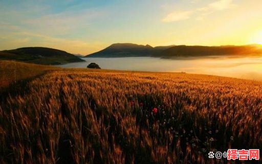 双子苛求完美不宜娶-第1张图片 双子苛求完美不宜娶-第1张图片