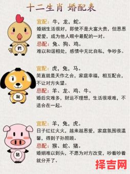 七情六欲猜准生肖-第1张图片