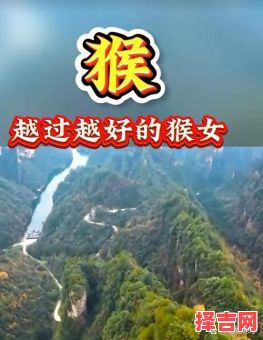 属猴女孩几月好,属猴哪个月份出生最佳女孩-第1张图片