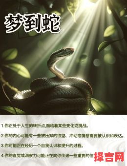 女人梦见蟒蛇预示着什么周公解梦女人梦见一条蟒蛇预示着什么-第1张图片