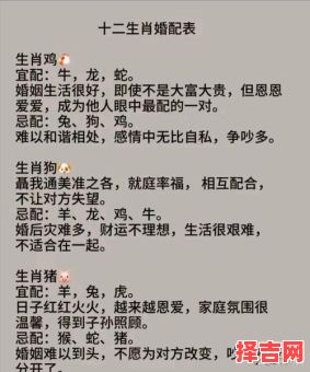 男鼠女虎婚配男虎女鼠婚配是否合适-第1张图片