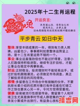 属兔人2025年运程详解 1963年属兔者2025年运势解析-第1张图片 属兔人2025年运程详解 1963年属兔者2025年运势解析-第1张图片