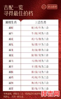 2025年属什么生肖 2025年属蛇运势犯太岁-第1张图片