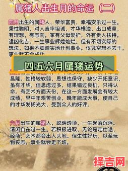 出生在十一月的属猪女属猪女命运如何-第1张图片 出生在十一月的属猪女属猪女命运如何-第1张图片