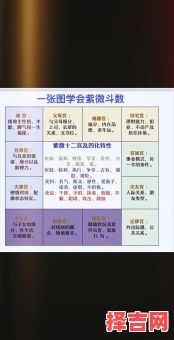 紫微斗数与西方占星术的差异对比-第1张图片