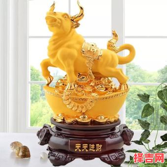 属牛和属哪个生肖合财，属牛和属牛的人合财吗-第1张图片